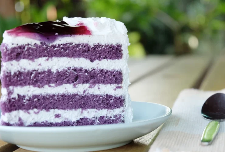 Blueberry Cake