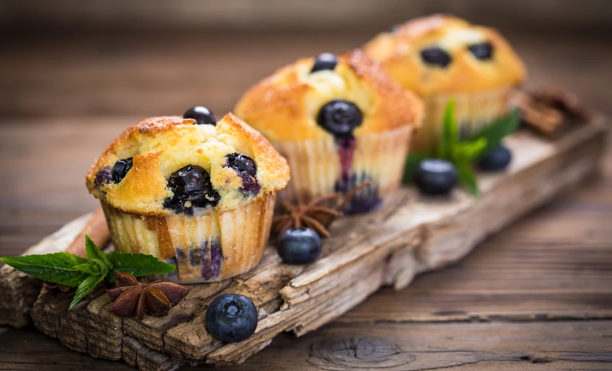 Blueberry Muffin