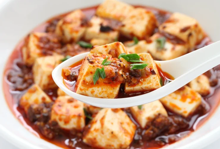 Mapo Tofu