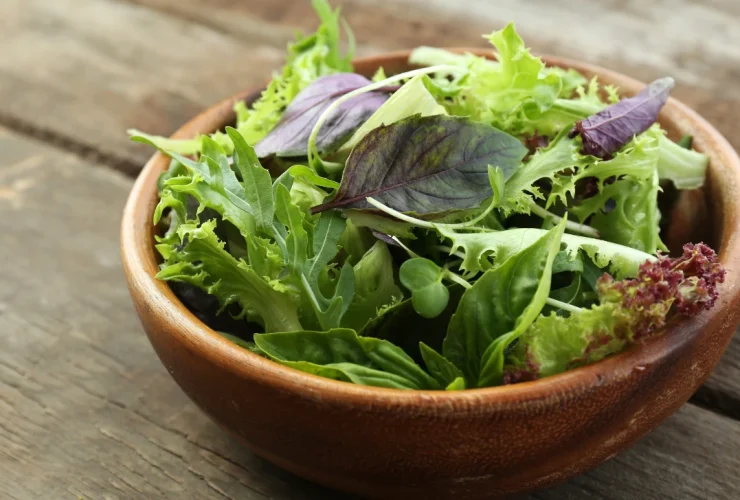 Mixed Green Salad