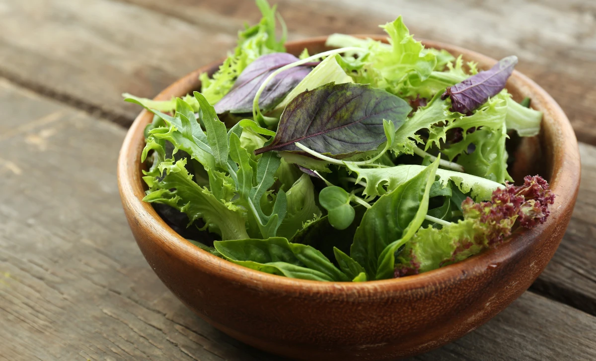 Mixed Green Salad