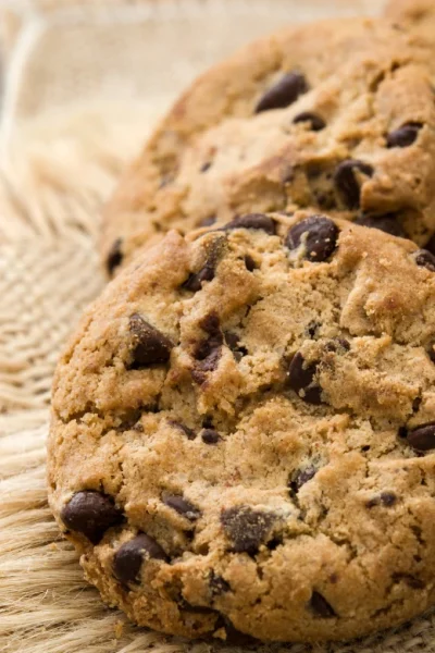 Chocolate Chip Cookie