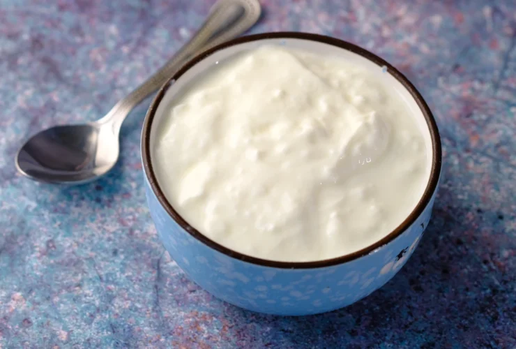 Dairy Free Yogurt