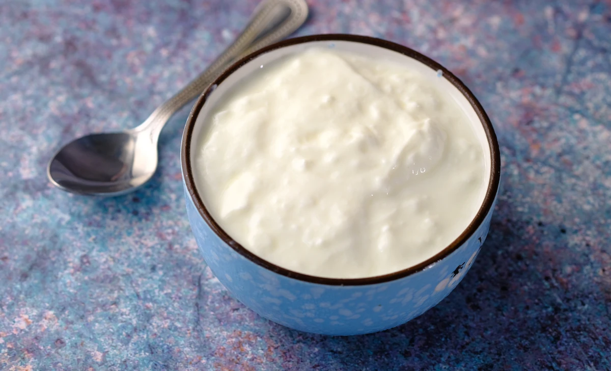 Dairy Free Yogurt